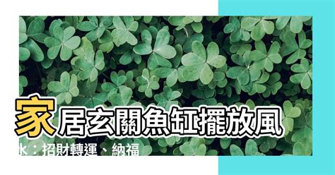 玄關魚缸風水|【玄關養魚】玄關養魚招財避煞！6大禁忌＋3大擺放秘訣